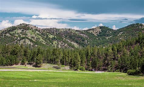 Custer State Park Landscape South Dakota Photograph By Joan Carroll