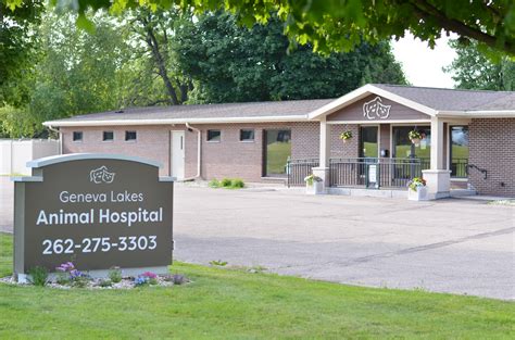 great lakes animal hospital