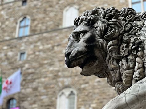 I Leoni In Piazza Della Signoria A Firenze Fieri E Poderosi Protettori