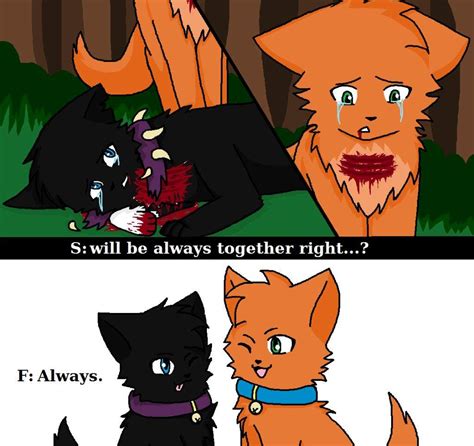 Scourges Death Warrior Cats Amino Amino