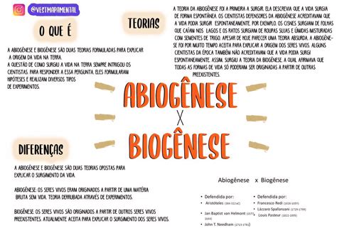 O Que é A Teoria Da Biogenese - 6