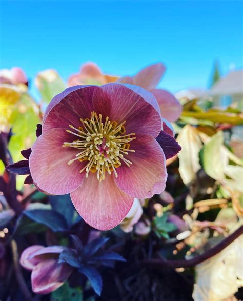 10000 Best Quebec Images On Pholder Most Beautiful City Porn And Architecture Porn