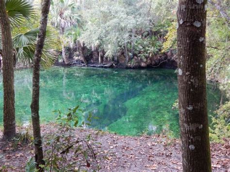 Mantee Heavenblue Spring State Park Amiees Rv Adventuremy Answer
