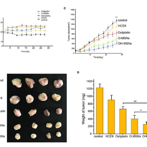 Tumor Growth In Mice A D The Nude Mice N 4 Were Injected With