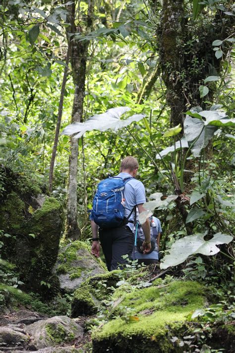 Machu Picchu Adventure Tours: Expert Tips & Guides for Peru Travelers