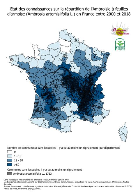 Lutte Contre Lambroisie Feuilles Darmoise Et Lambroisie Trifide