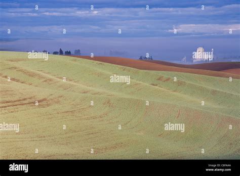 Grain Silo Hi Res Stock Photography And Images Alamy