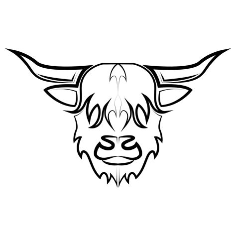 cattle head drawing 8