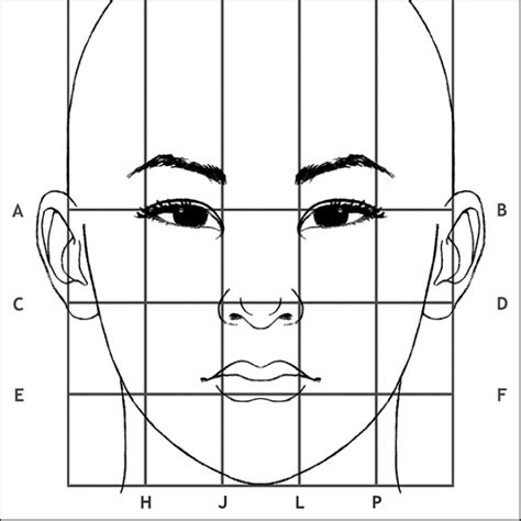 Face Drawing Diagram