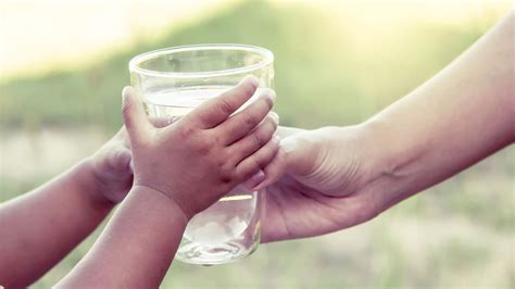 La Importancia De La Calidad Del Agua Doctora Consol Montilla