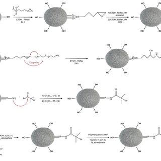 Synthesis steps of mesoporous silica nanoparticle... | Download ...