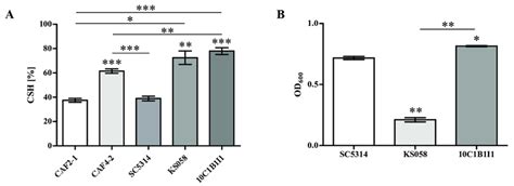 The Cell Surface Hydrophobicity Csh And Biofilm Formation Of C