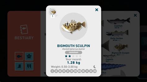 Creatures Of The Deep Bigmouth Sculpin Youtube