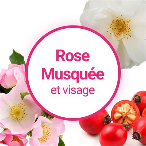 Quels sont les bienfaits de lhuile de Rose Musquée pour le visage