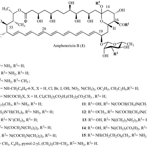 Structure of AMB (1) and its derivatives 2-16. | Download Scientific ...