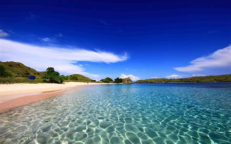 Komodo 1080p 2k 4k 5k Hd Wallpapers Free Download Wallpaper Flare