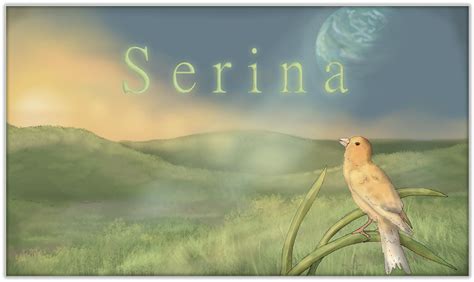 Serina The World Of Birds By Sheather World History Natural