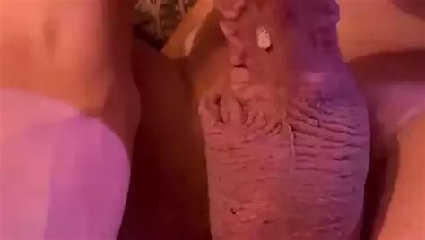 V Deos Gay De Jovencito Xhamster