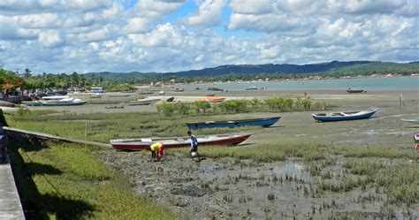 Mar De Saberes Salinas Da Margarida