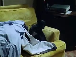 Claudia Rocchi Guia Lauri Filzi Annj Goren Dolce Calda Lis Italian Celebrity Porn XHamster