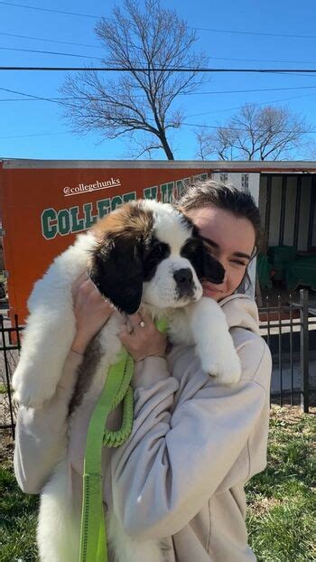 Brett Cooper Imbrettcooper Nude OnlyFans The Fappening Plus