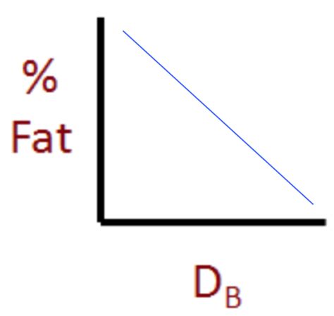 Body Composition Flashcards Quizlet