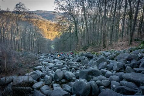 Felsenmeer Im Odenwald Ausflugsziel And Wandern In Lautertal