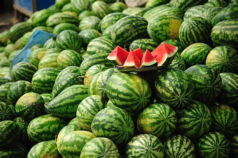 Les agriculteurs espagnoles s acharnent encore sur les pastèques du