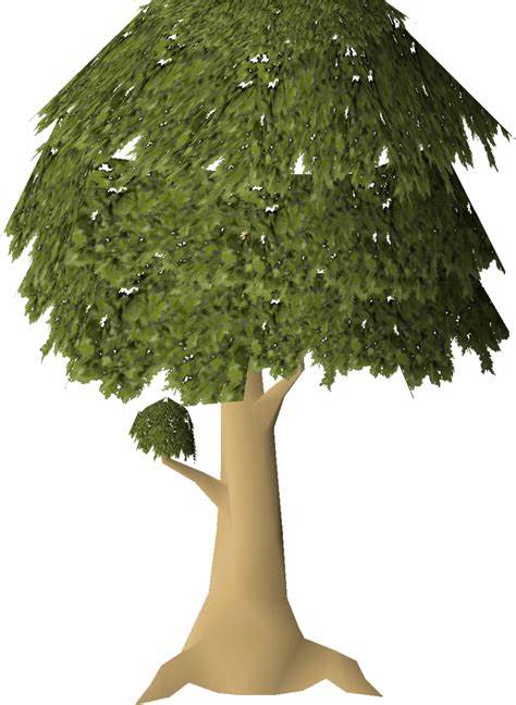 Mahogany tree (Farming) - OSRS Wiki