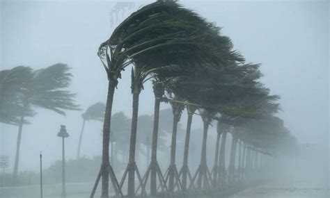 hurricane damage insurance caims tampa hurricane public adjuster