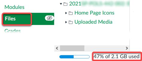 how to download all files from canvas course