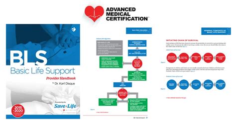 Online Bls Certification Course W Detailed Images And Videos Free