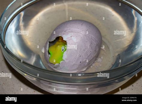 how to open dinosaur egg toy