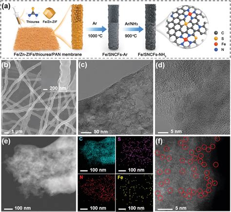 A Schematic Illustration Of The Synthesis Of S And N Co‐doped Porous Download Scientific