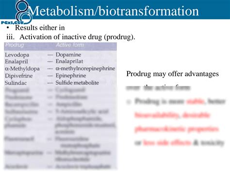 SOLUTION Lesson 4 Pharmacokinetics Metabolism Excretion Studypool