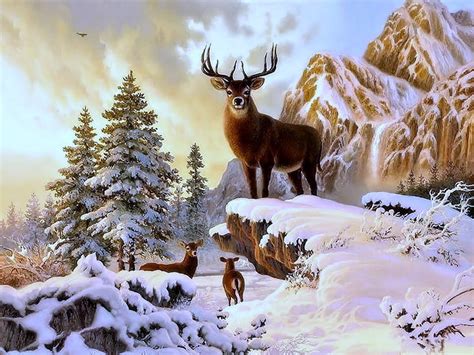 Deer And Doe In Snow Wallpaper