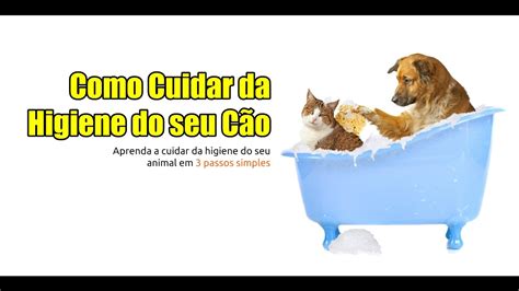 Como Cuidar Da Higiene Do Seu C O Youtube