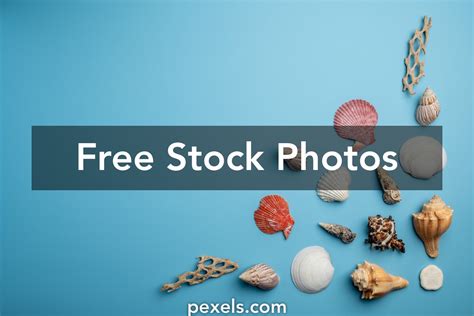 tropical theme wallpaper      tropical theme