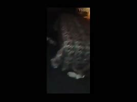 SEX PARTY 2 ShesFreaky