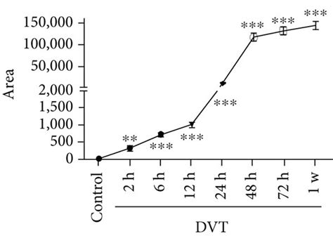 Rip And Mlkl Phosphorylation Increased With Time After Ivc Thrombosis