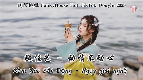 魏佳艺 动情不动心 Cảm Xúc Bất Động Ngụy giai nghệ DJ阿柳版 FunkyHouse Hot TikTok Douyin 2023 YouTube