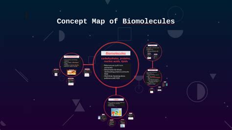 Nucleic Acids Concept Map