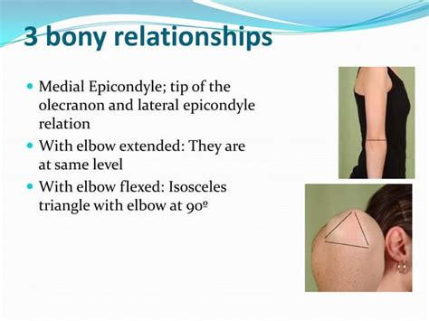 Elbow examination | PPT