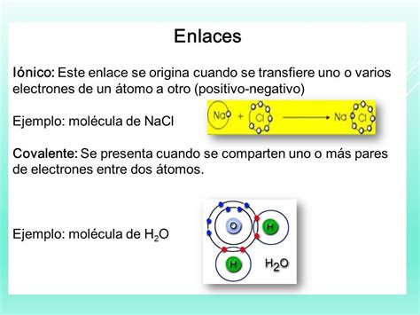 Clase 1 Niveles De Organización Y Biomoléculas InclusiÓn Propiedades Emergentes Ppt Descargar