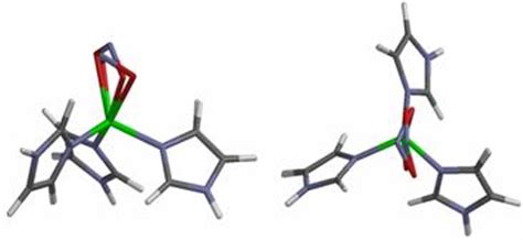 nitrite reduction  nitrite reductases  related model systems