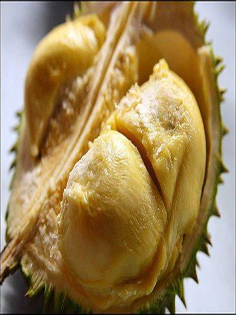 CT: Makan Durian