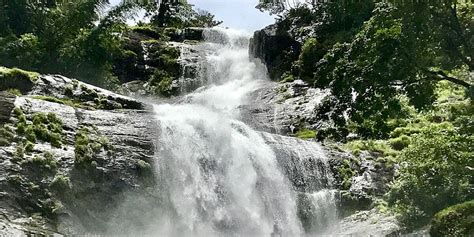 ripple waterfalls munnar plan  advance   trip tripxl