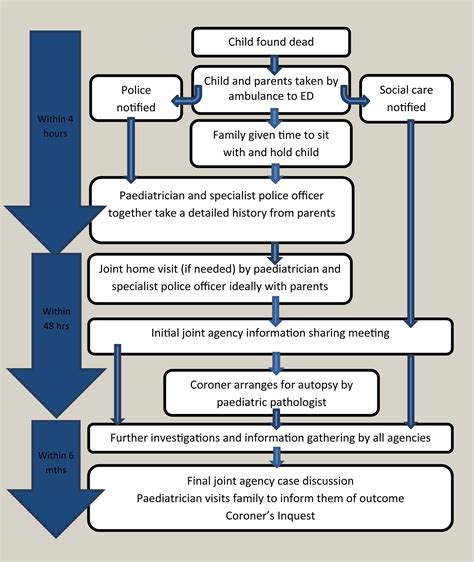 Working with families after a sudden child death - Paediatrics and