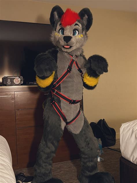 JT MFF FC ANE On Twitter Time To Be Gay Boyo Https T Co FUbGAA WLU Twitter