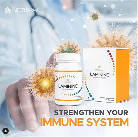 Laminine Lifepharm Meningkatkan Sistem Imun Tubuh